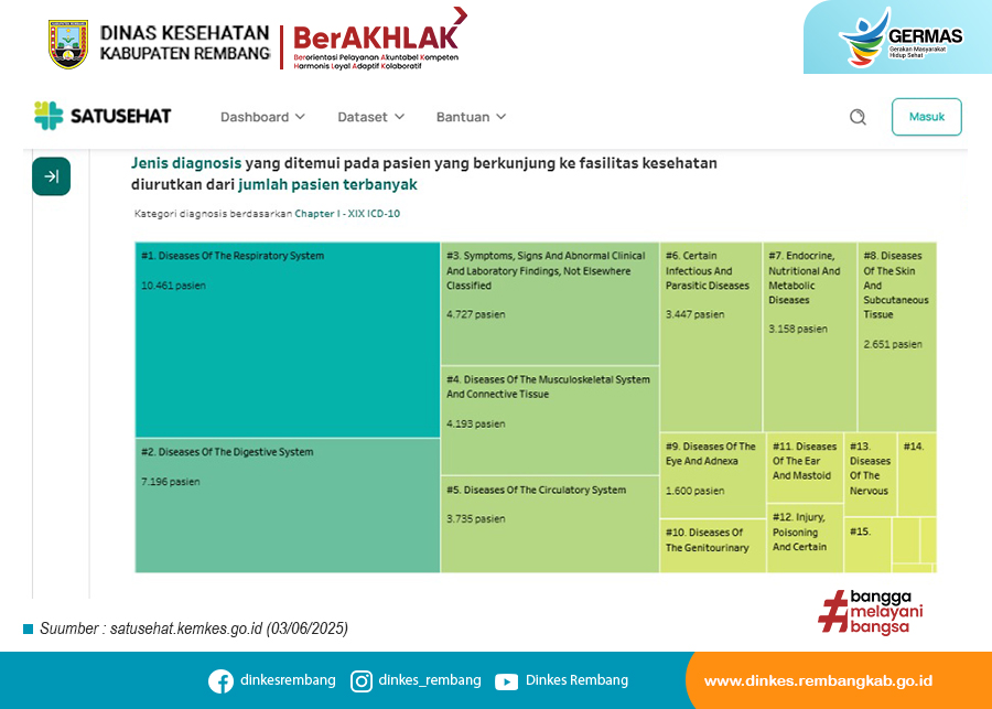 Monitoring Morbiditas Pasien Kabupaten Rembang Berdasarkan Data Platform SATUSEHAT Januari–Mei 2025